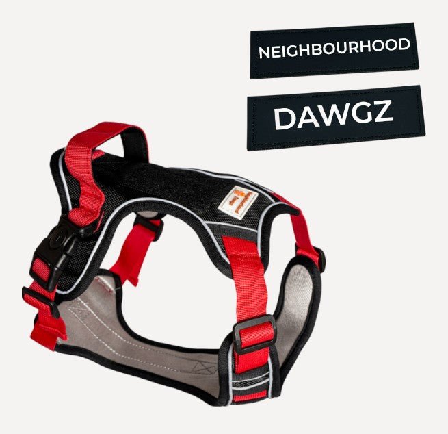 No - Pull Body Fit Dog Harness – Adjustable, Reflective & Comfortable | Includes Personalised Velcro Patch - Neighbourhood Dawgz