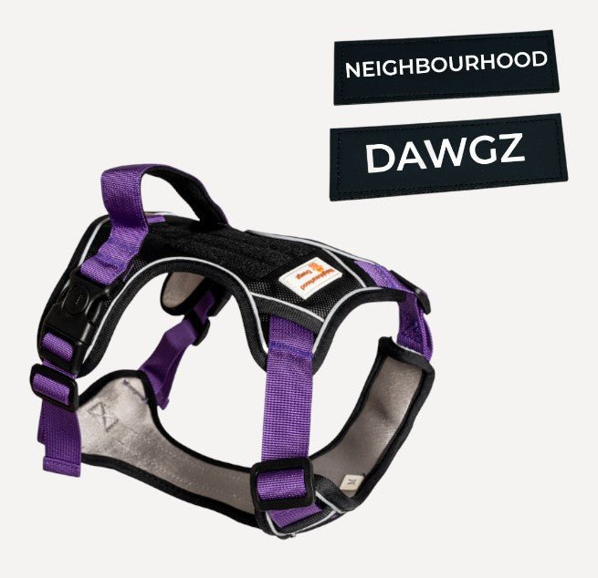 No - Pull Body Fit Dog Harness – Adjustable, Reflective & Comfortable | Includes Personalised Velcro Patch - Neighbourhood Dawgz