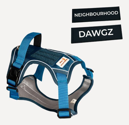 No - Pull Body Fit Dog Harness – Adjustable, Reflective & Comfortable | Includes Personalised Velcro Patch - Neighbourhood Dawgz