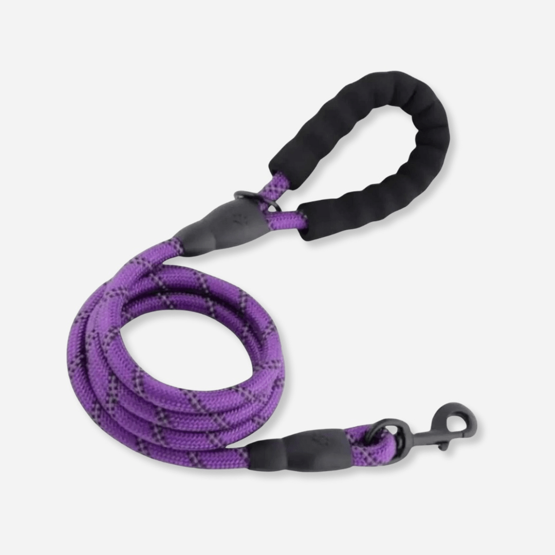 Purple reflective dog leash with padded handle and durable clip for safe walks