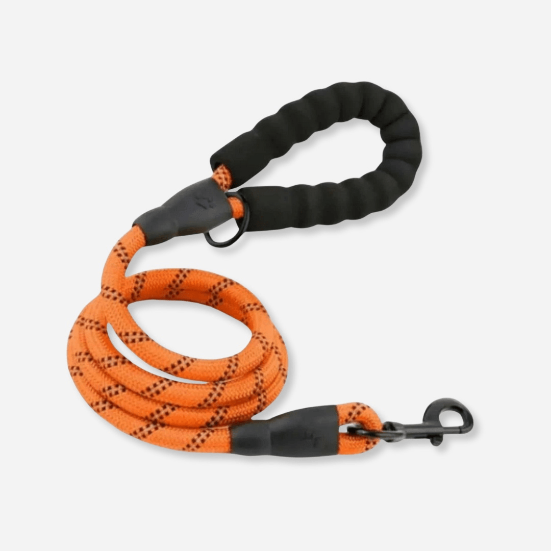 Orange reflective dog leash with padded handle and durable clip for safe walks