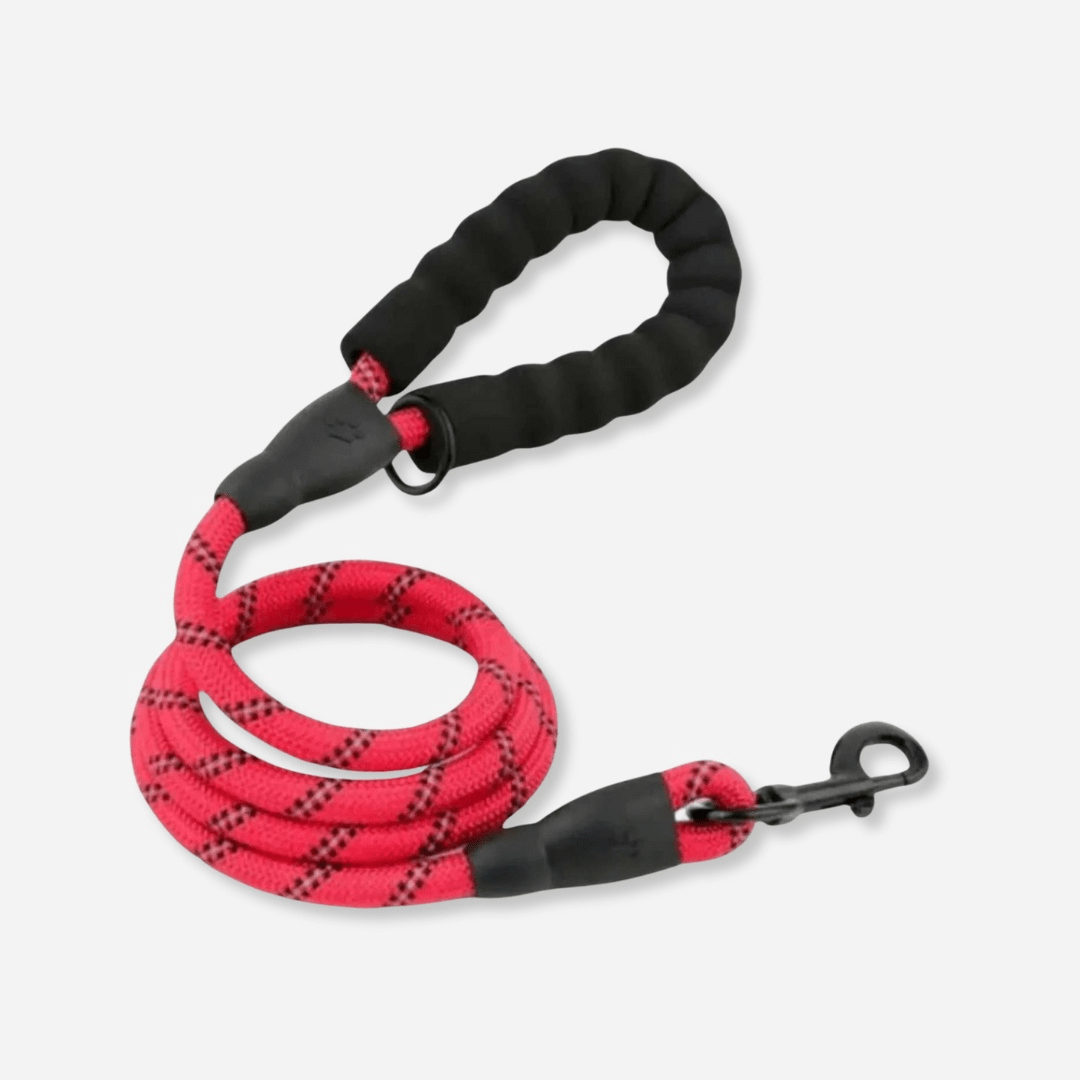 Red reflective dog leash with padded handle and durable clip for safe walks