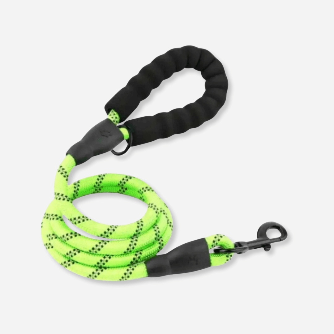 Green reflective dog leash with padded handle and durable clip for safe walks