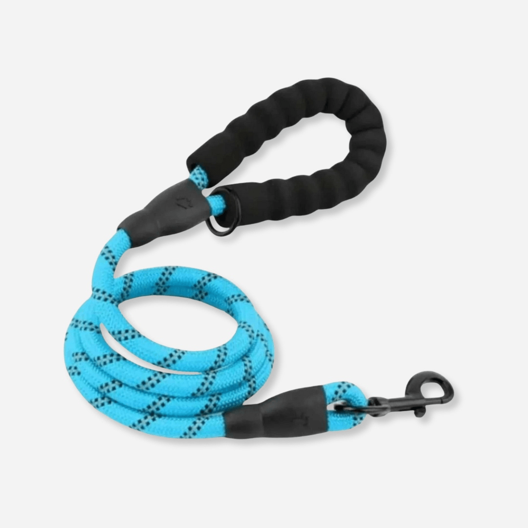 Blue reflective dog leash with padded handle and durable clip for safe walks