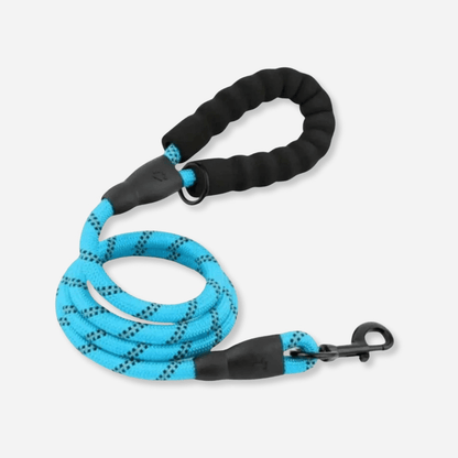 Blue reflective dog leash with padded handle and durable clip for safe walks