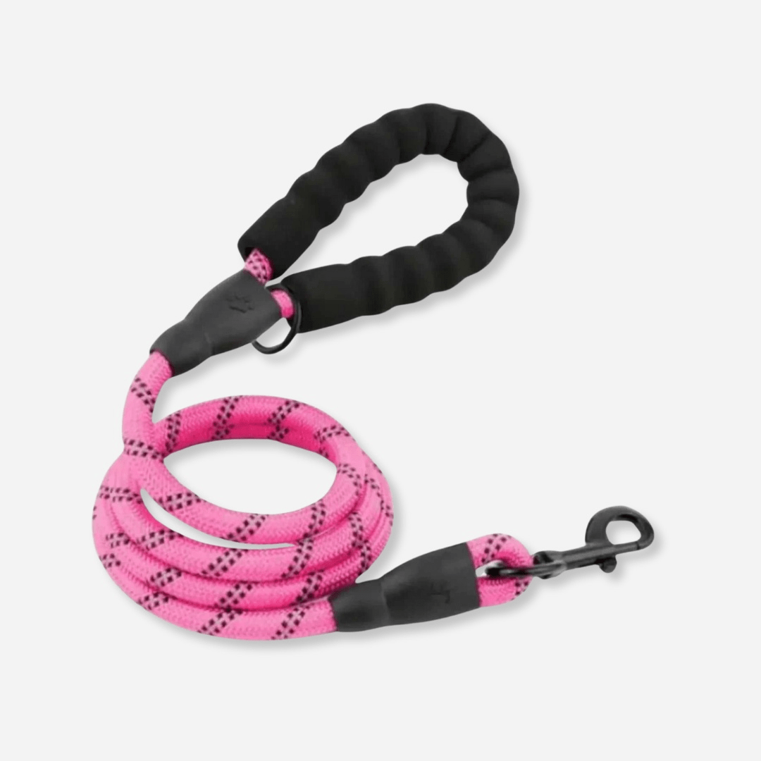 Pink reflective dog leash with padded handle and durable clip for safe walks
