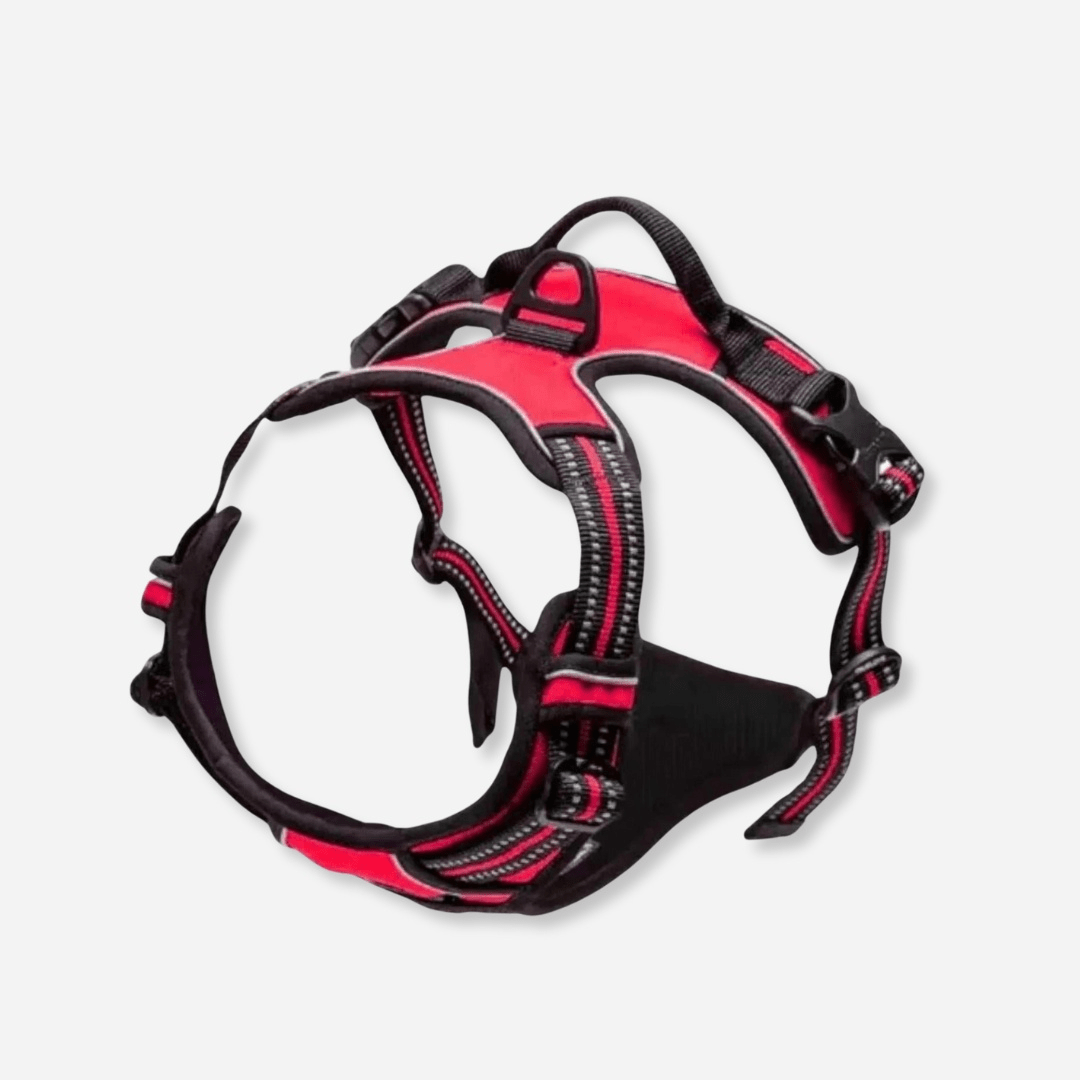 Red reflective dog harness with padded chest and adjustable straps