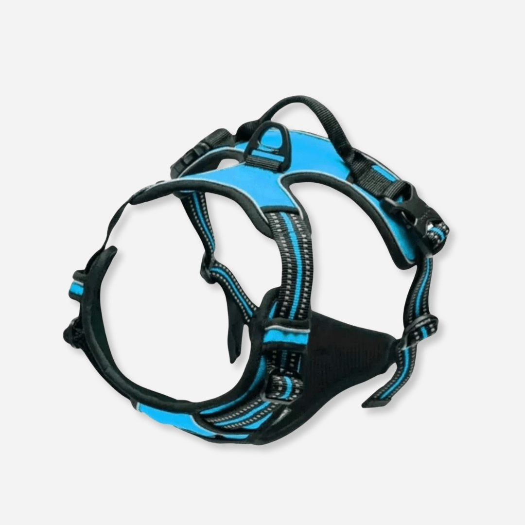 Blue reflective dog harness with padded chest and adjustable straps