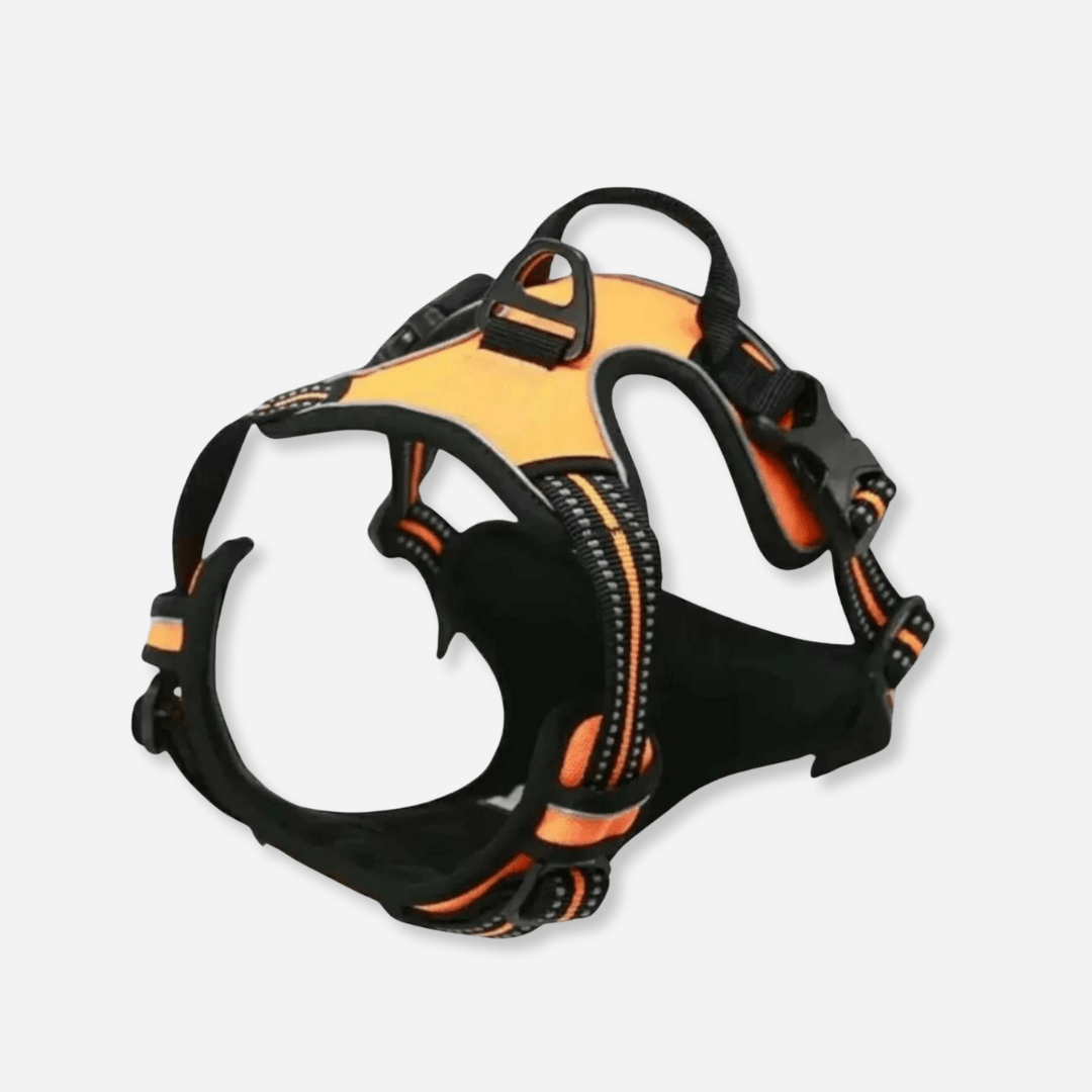 Orange reflective dog harness with padded chest and adjustable straps