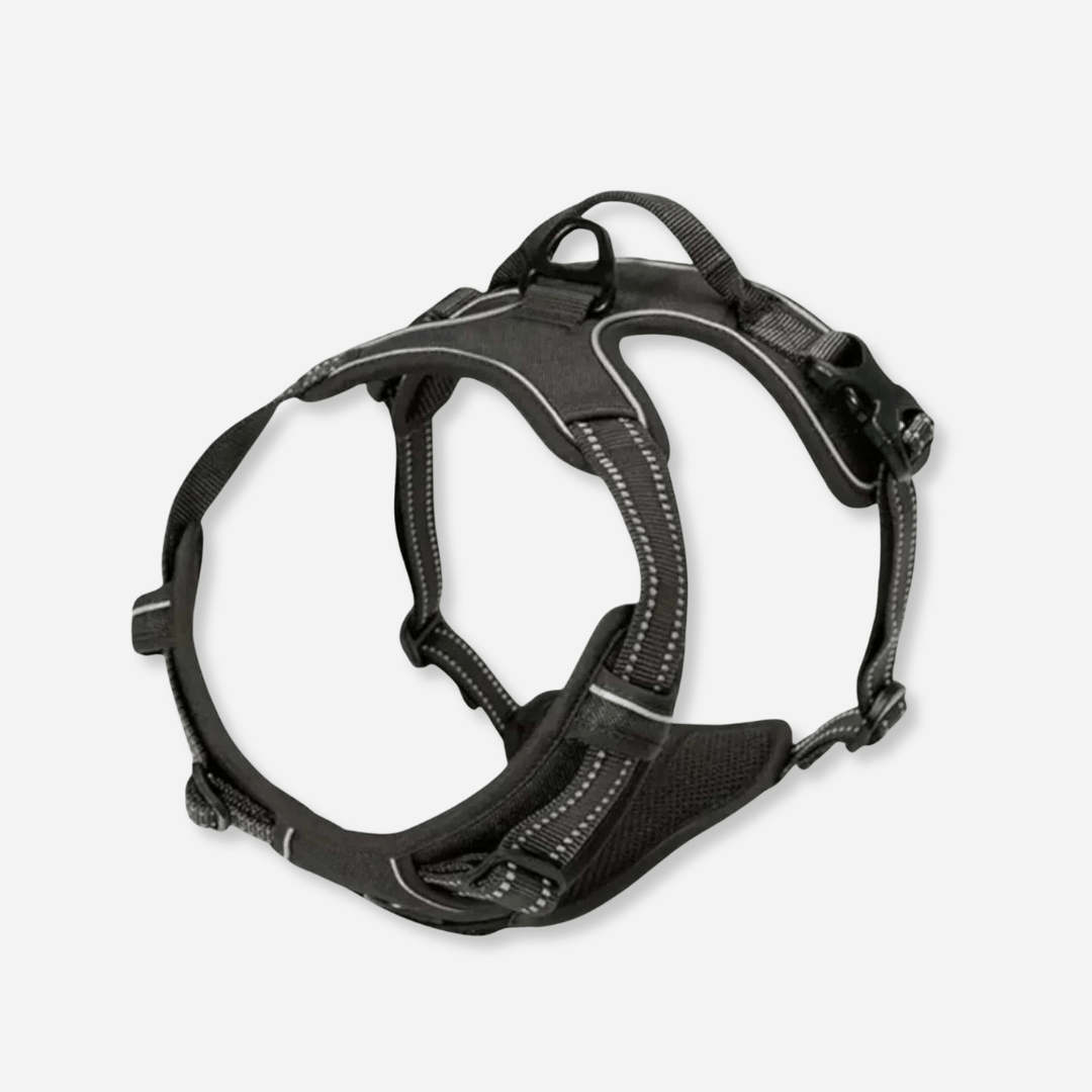 Black reflective dog harness with padded chest and adjustable straps