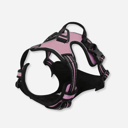 Reflective dog harness (pink) on dog outdoors