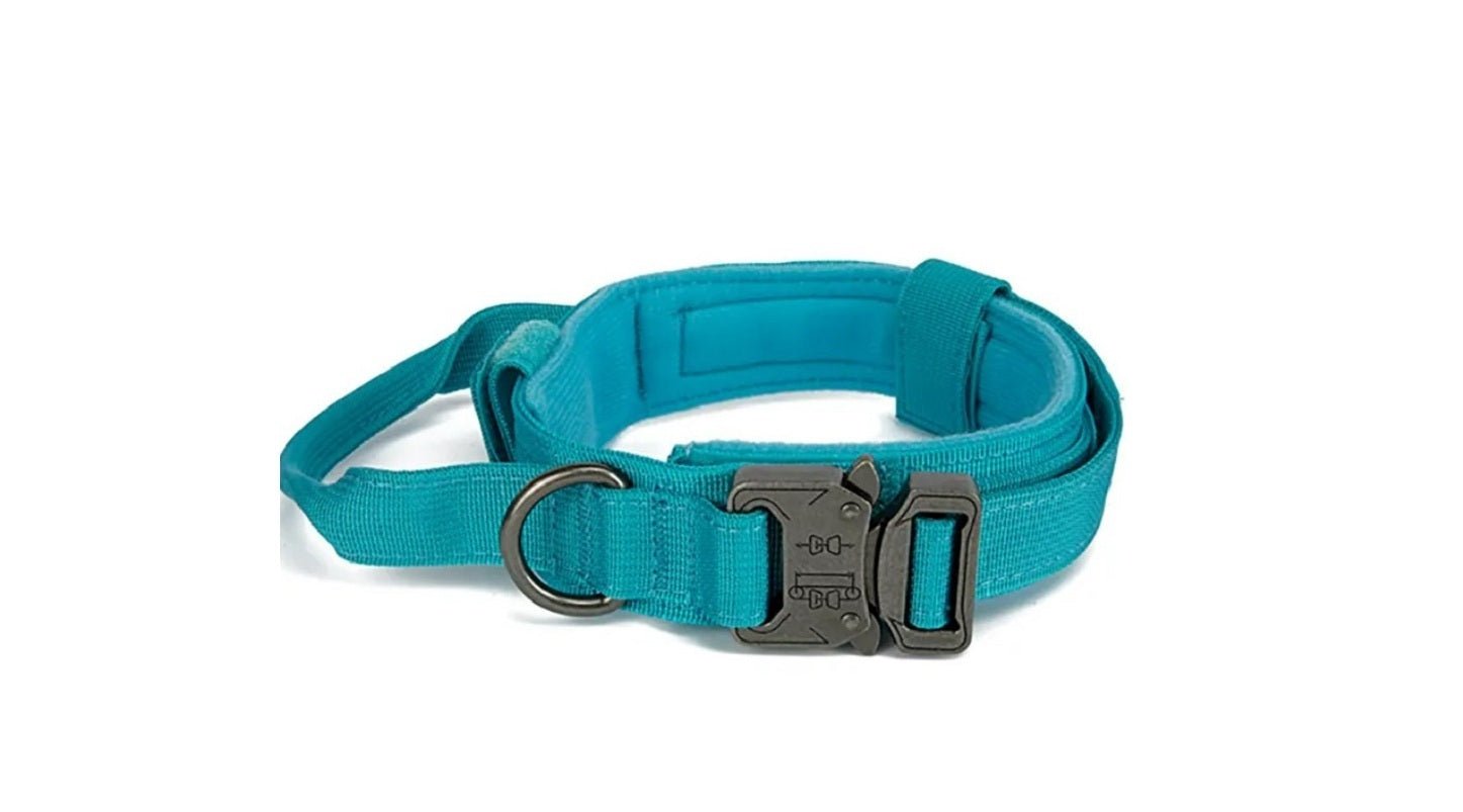 Blue tactical dog collar with metal buckle and adjustable strap