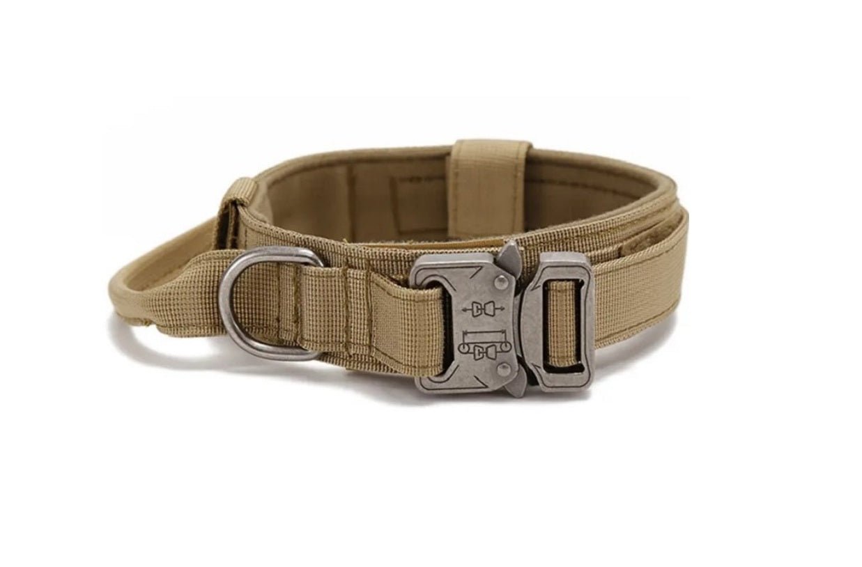 Khaki tactical dog collar with metal buckle and adjustable strap