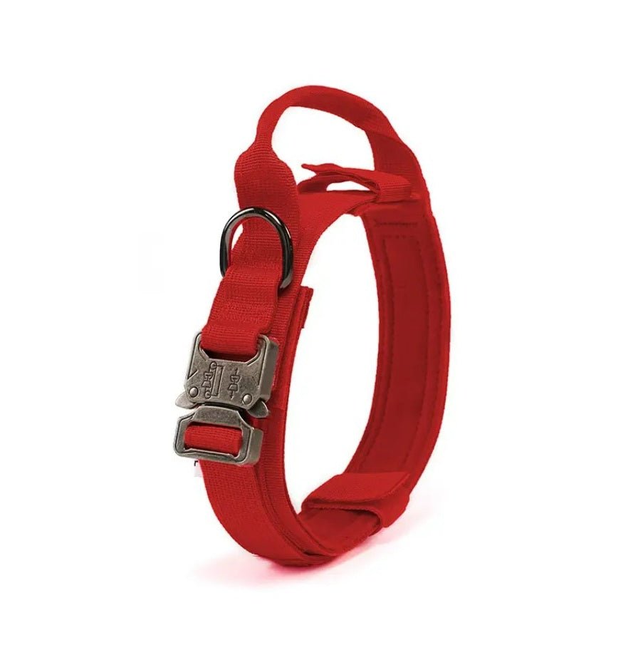 Red tactical dog collar with metal buckle and adjustable strap