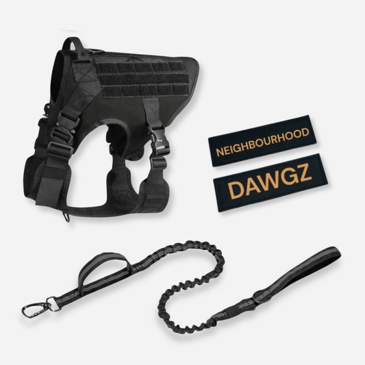 Black tactical dog harness and leash set with control handle, metal clips and custom patch