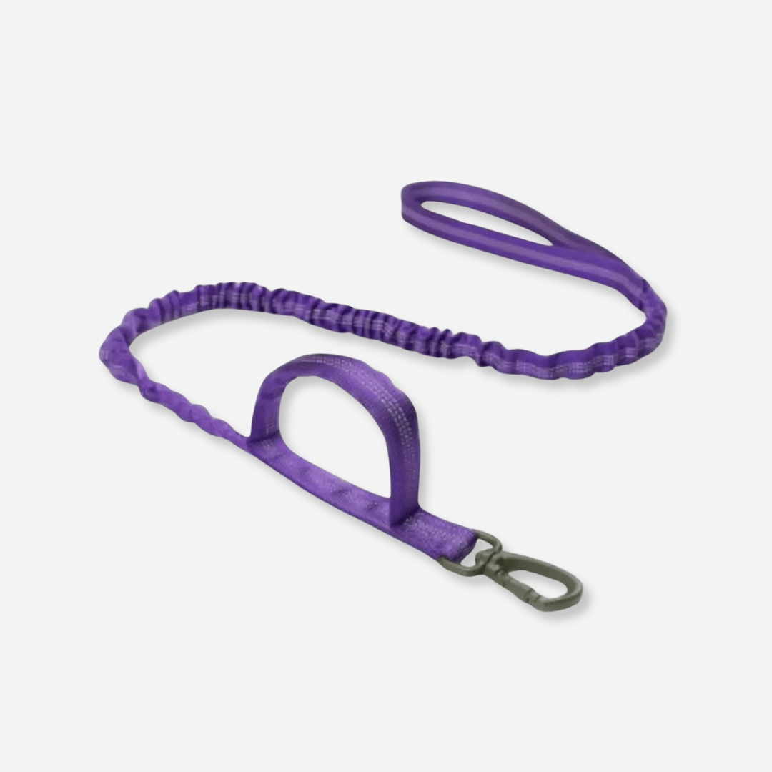 Purple tactical dog leash with double handle and durable clip
