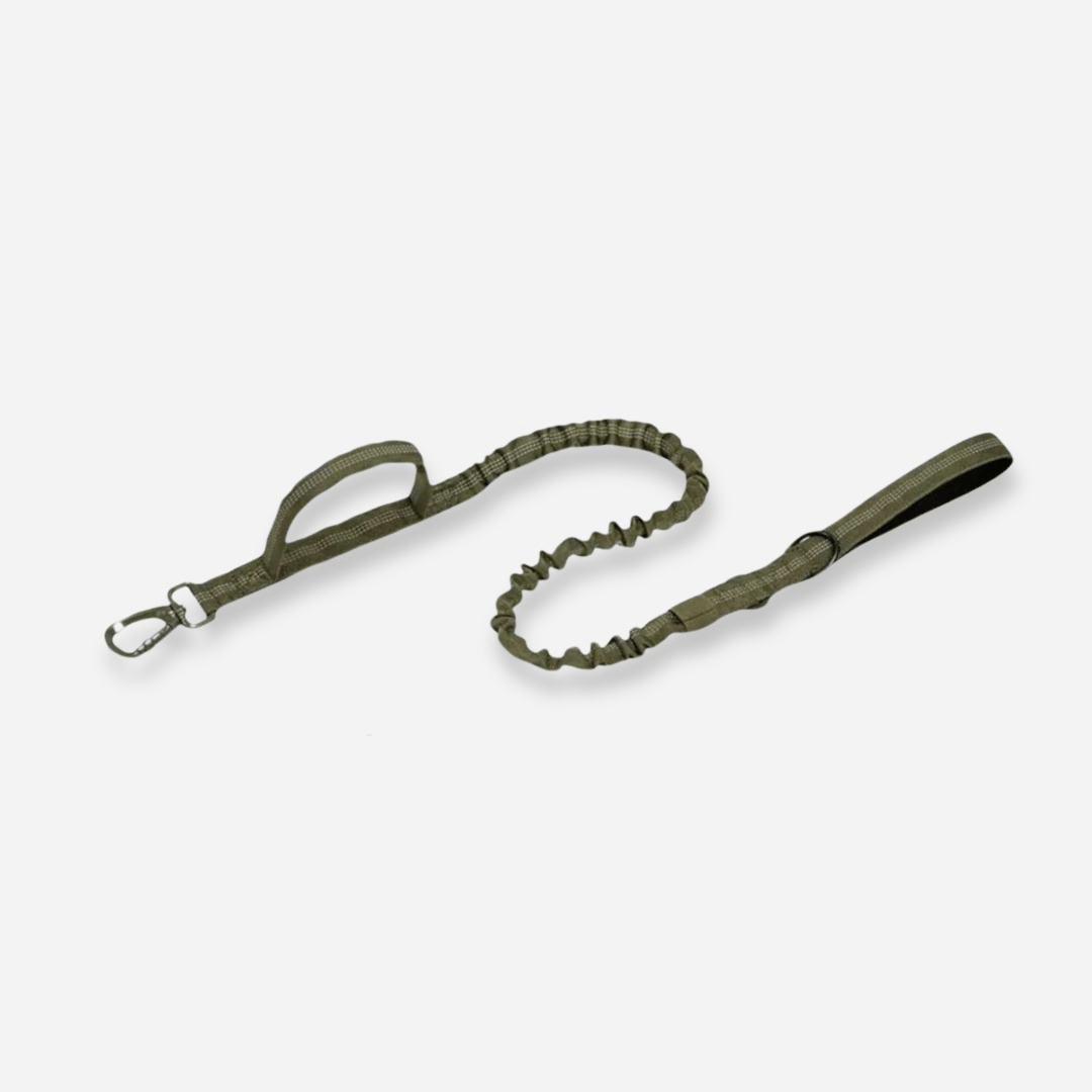 Green tactical dog leash with double handle and durable clip