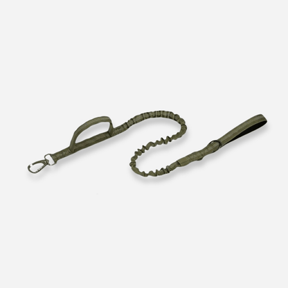 Green tactical dog leash with double handle and durable clip