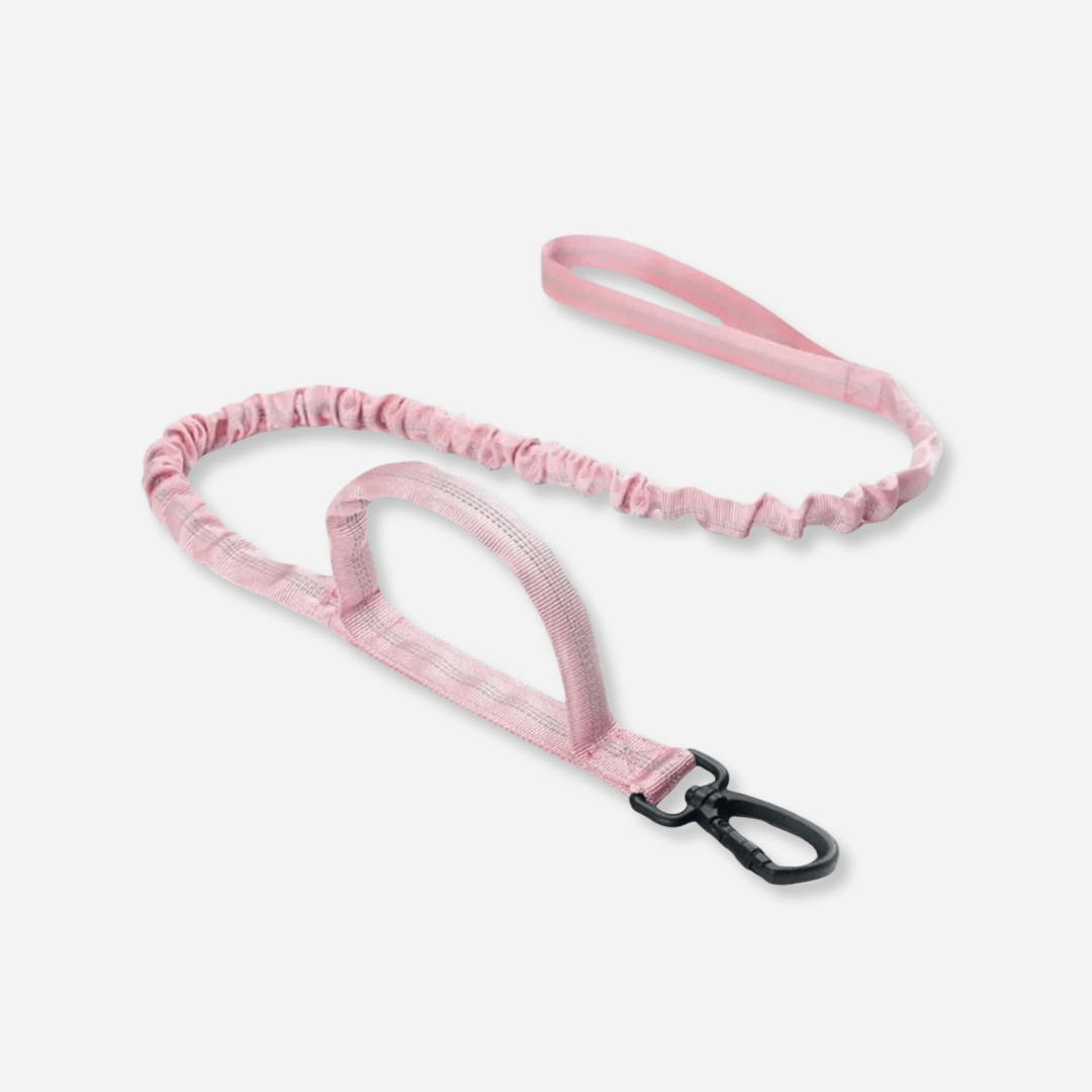 Pink tactical dog leash with double handle and durable clip