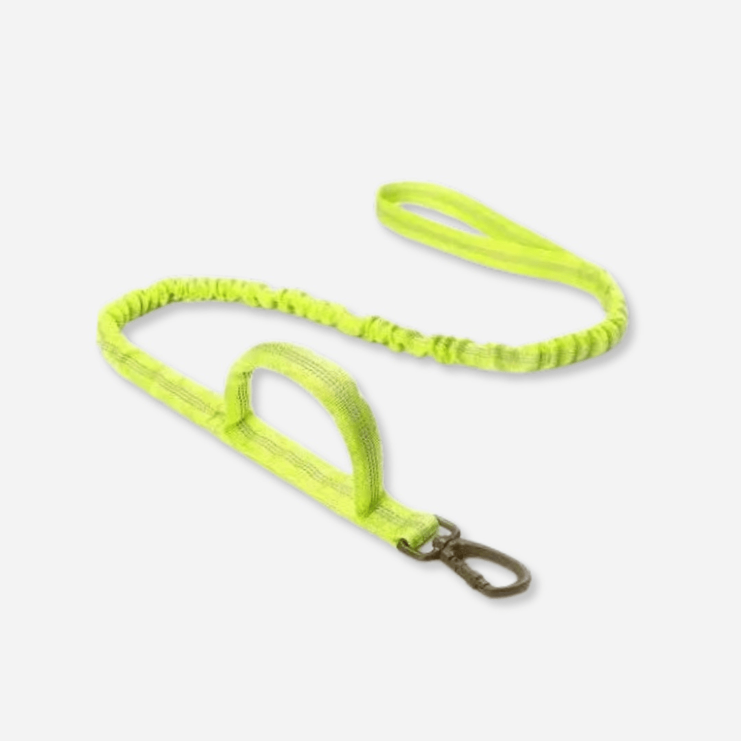 Fluro Green tactical dog leash with double handle and durable clip