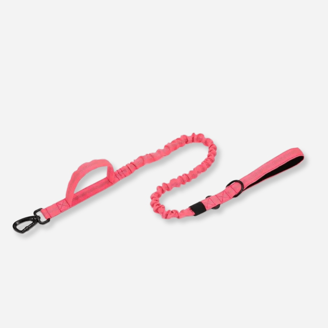 Hot Pink tactical dog leash with double handle and durable clip