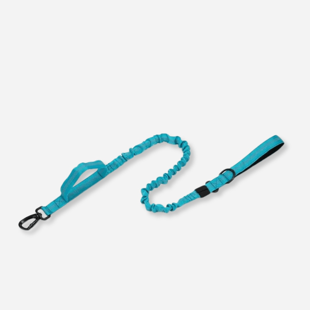 Blue tactical dog leash with double handle and durable clip