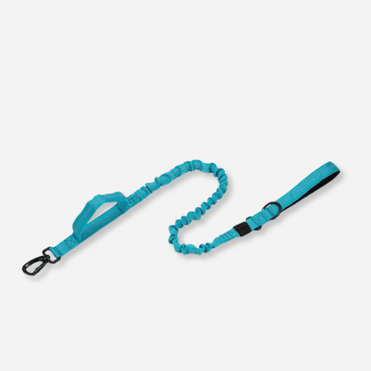 Blue tactical dog leash with double handle and durable clip