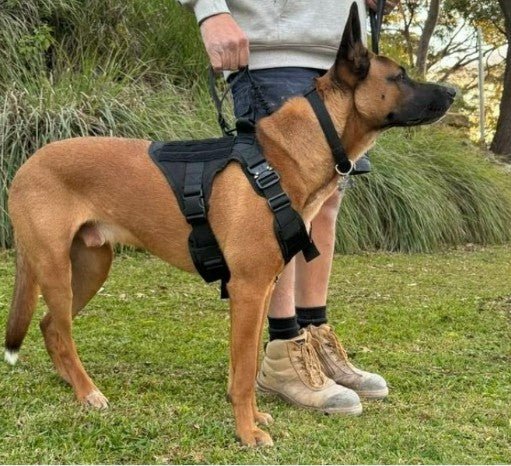 Tactical No - Pull Dog Harness – Heavy - Duty, Adjustable | Includes Personalised Velcro Patch - Neighbourhood Dawgz