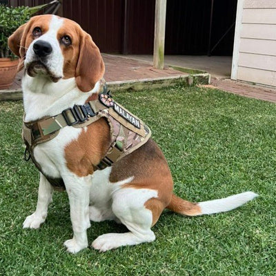 Tactical No - Pull Dog Harness – Heavy - Duty, Adjustable | Includes Personalised Velcro Patch - Neighbourhood Dawgz