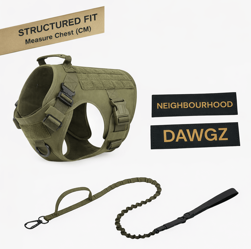 Tactical No - Pull Dog Harness & Leash Set – Heavy - Duty, Adjustable, Includes Personalised Velcro Name Patch - Neighbourhood Dawgz